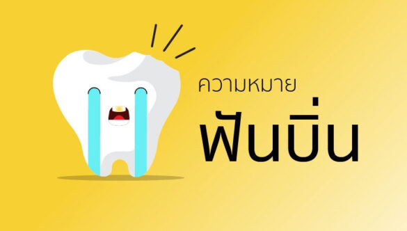 ฟันบิ่น เกิดจากสาเหตุอะไร ปัญหาที่ต้องดูแล